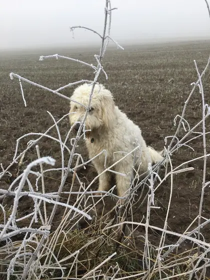 Ein Tag im Schnee