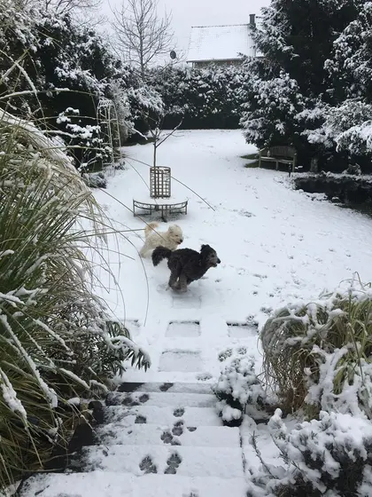 Ein Tag im Schnee