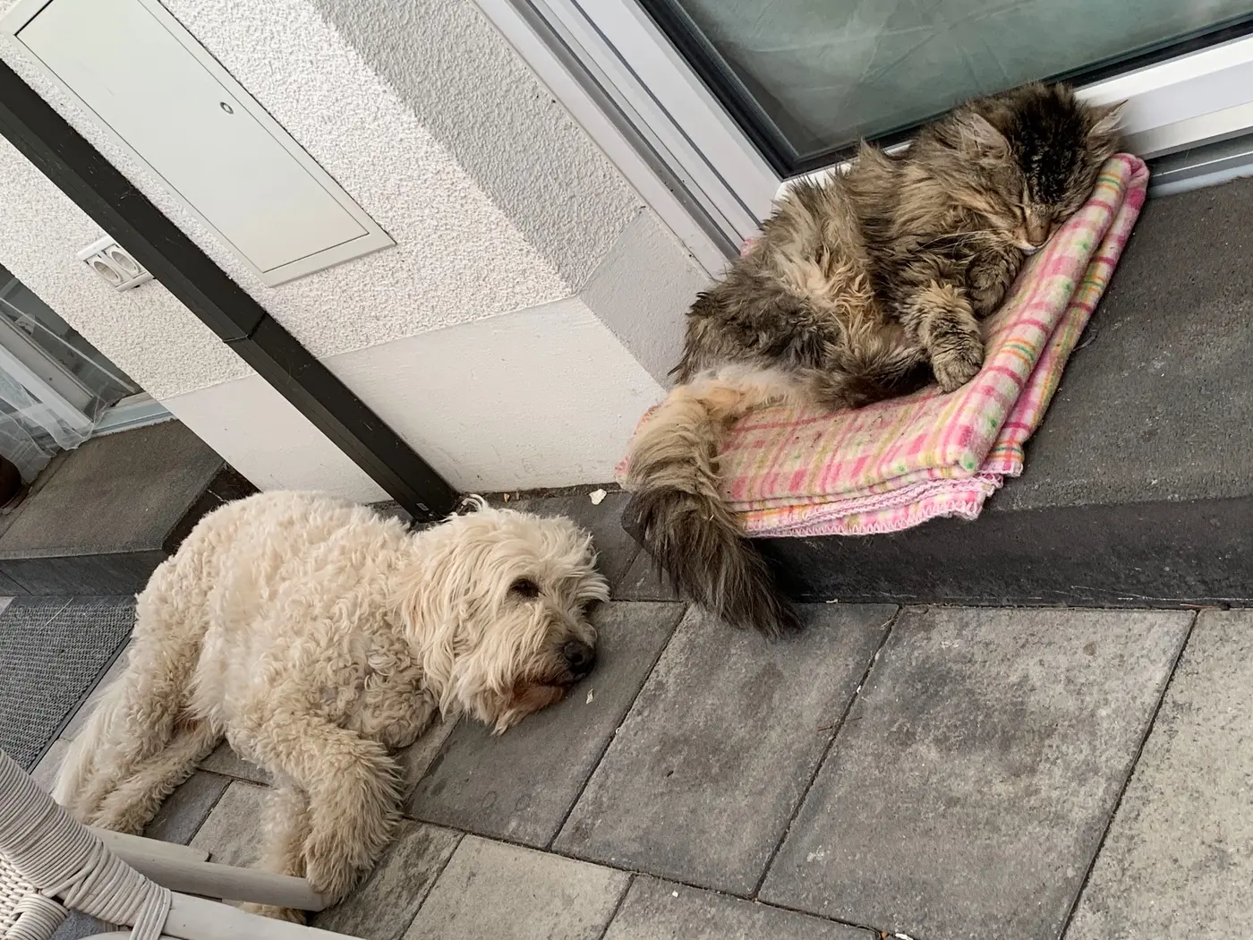 Foto von Finn, Henry und Malu