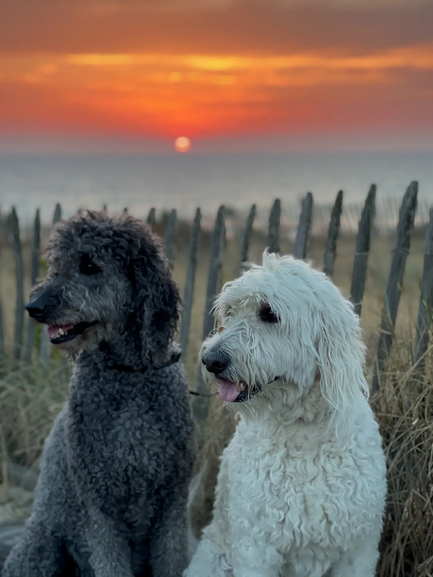 Abend am Atlantikstrand in Saint-Julien-en-Born — Sonntag, 24. Juli 2022