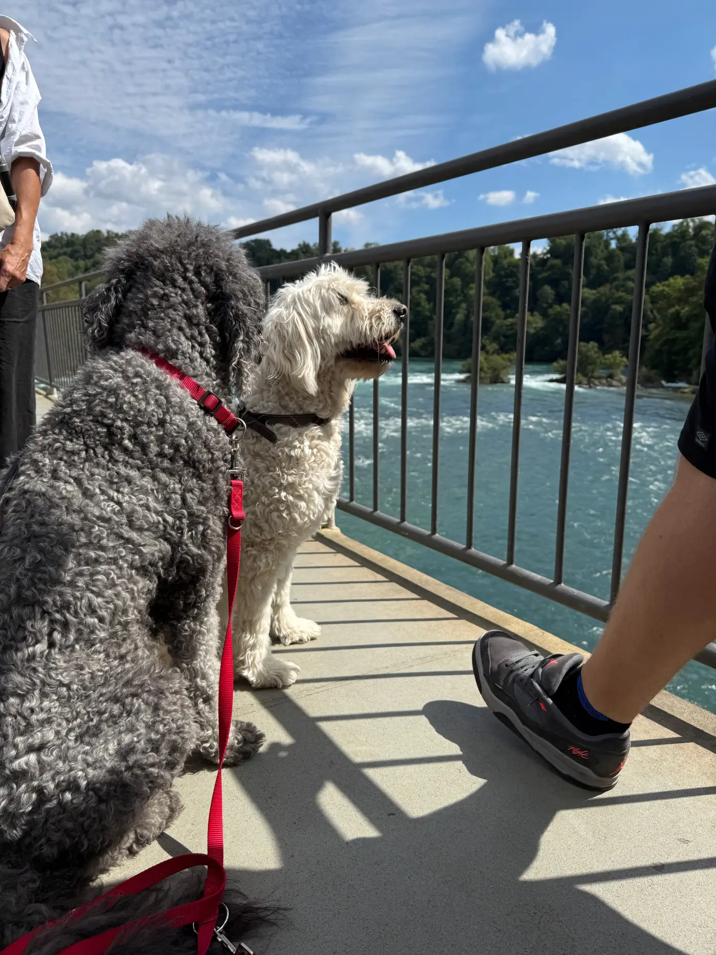 Unterwegs am Rheinfall bei Schaffhausen — Sonntag, 24. August 2025