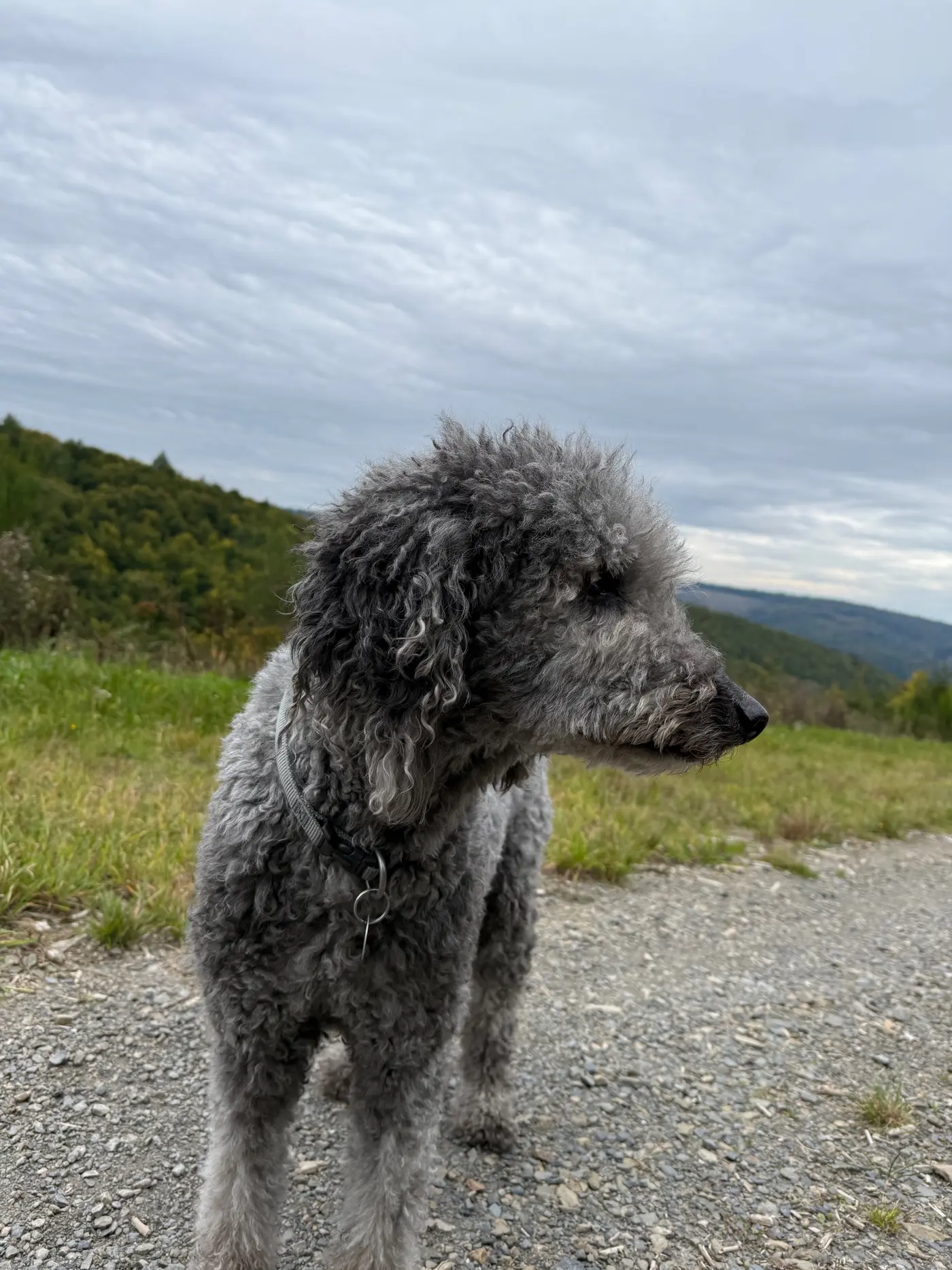 Im Sauerland bei Schmallenberg — Freitag, 3. Oktober 2025