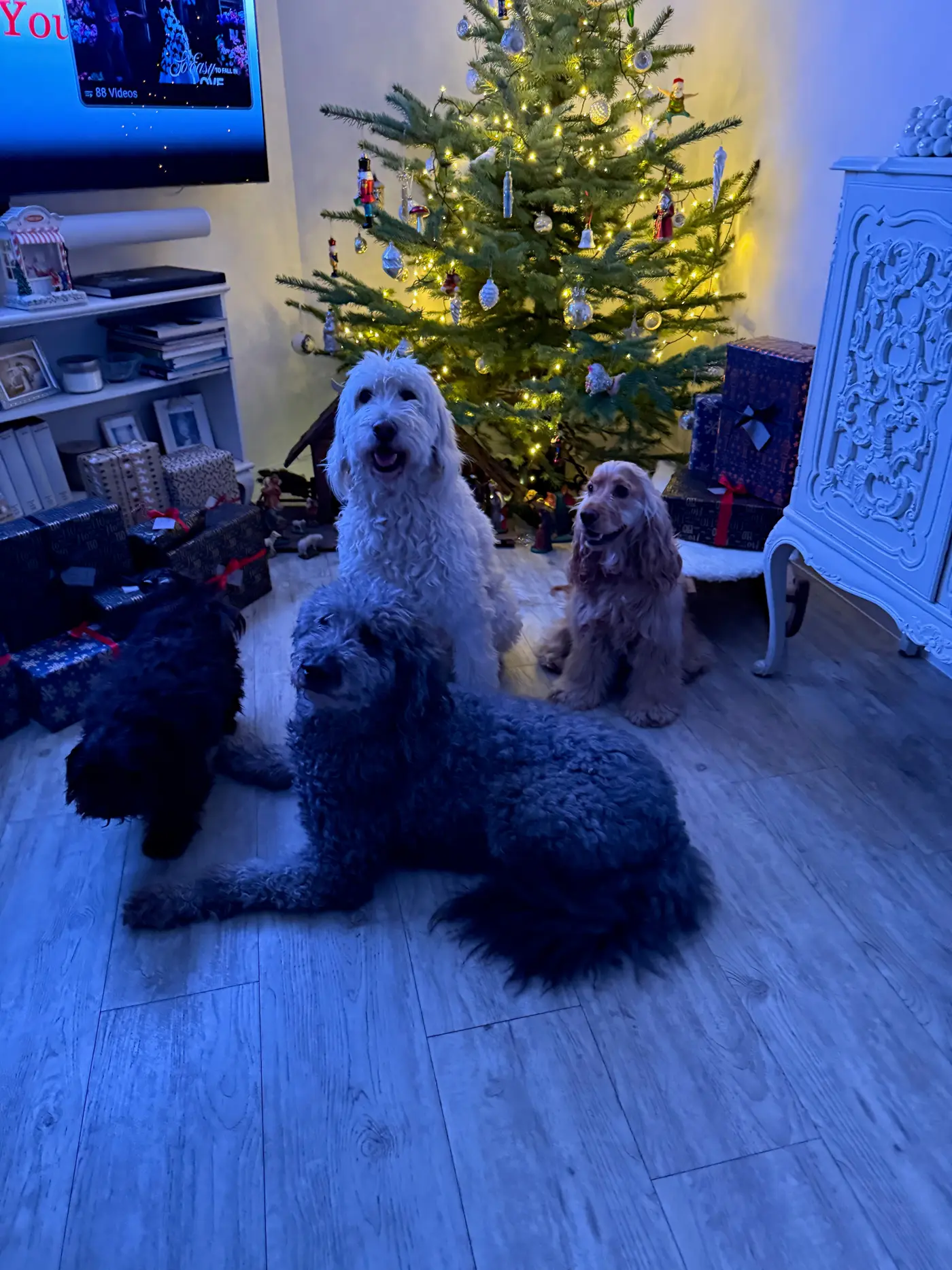 Heiligabend 2025: Finn, Henry, Malu und der Cousin vor dem Weihnachtsbaum — Mittwoch, 24. Dezember 2025